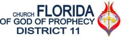 Florida COGOP District 11